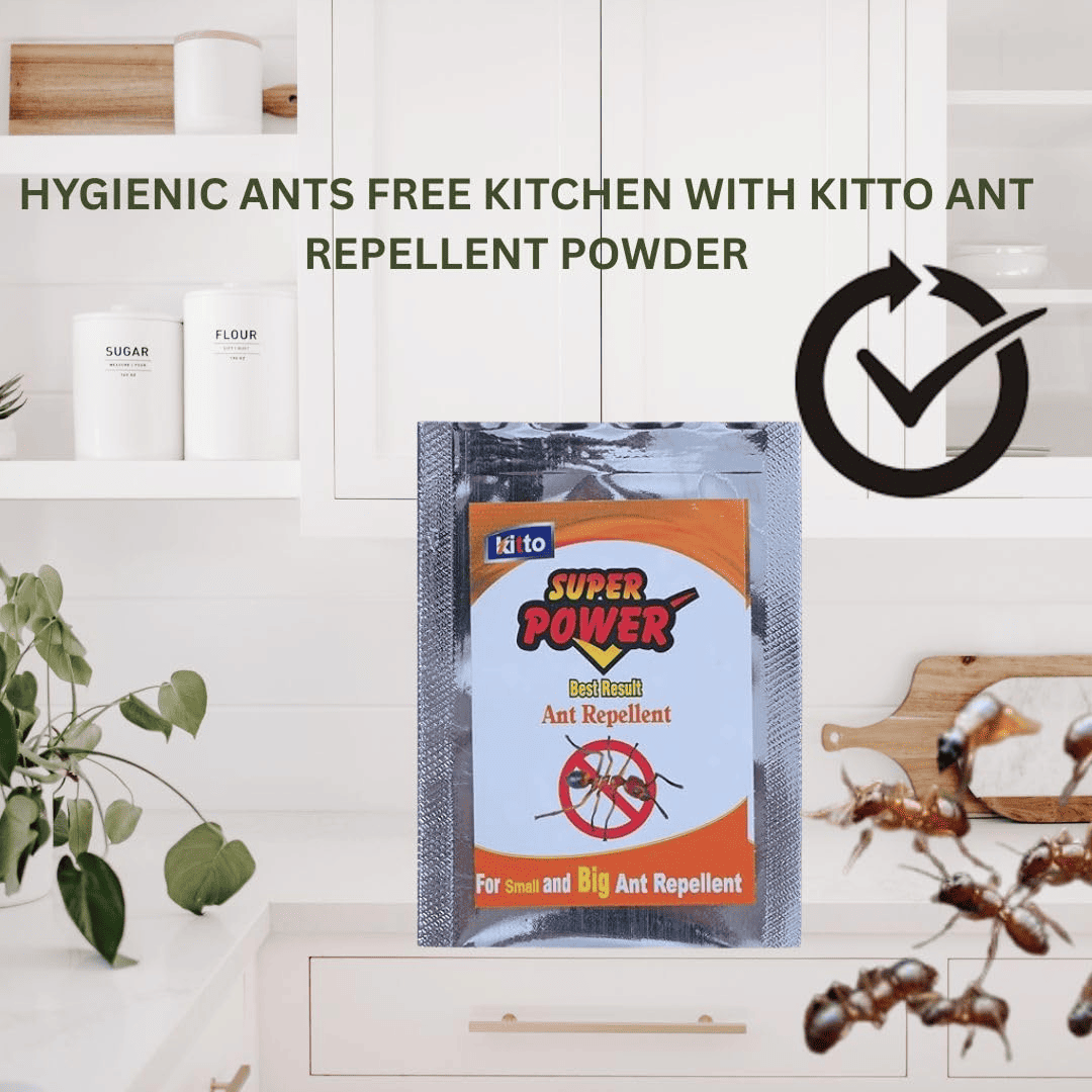 Kitto Super Power Ant Repellent Powder